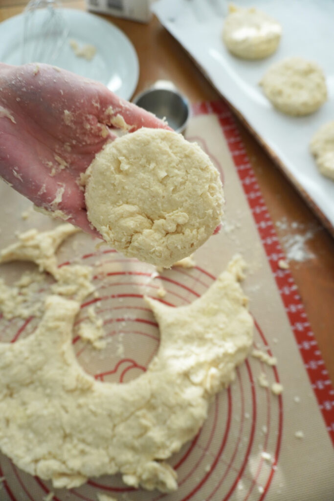 a hand holding a biscuit dough round with a baking pan of biscuit dough rounds in the background