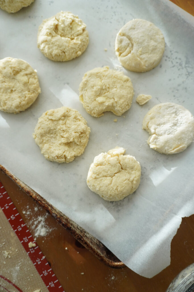 biscuit dough rounds on a baking sheet lined with parchment paper