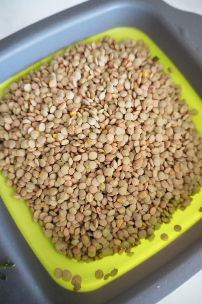 dried lentils in a strainer