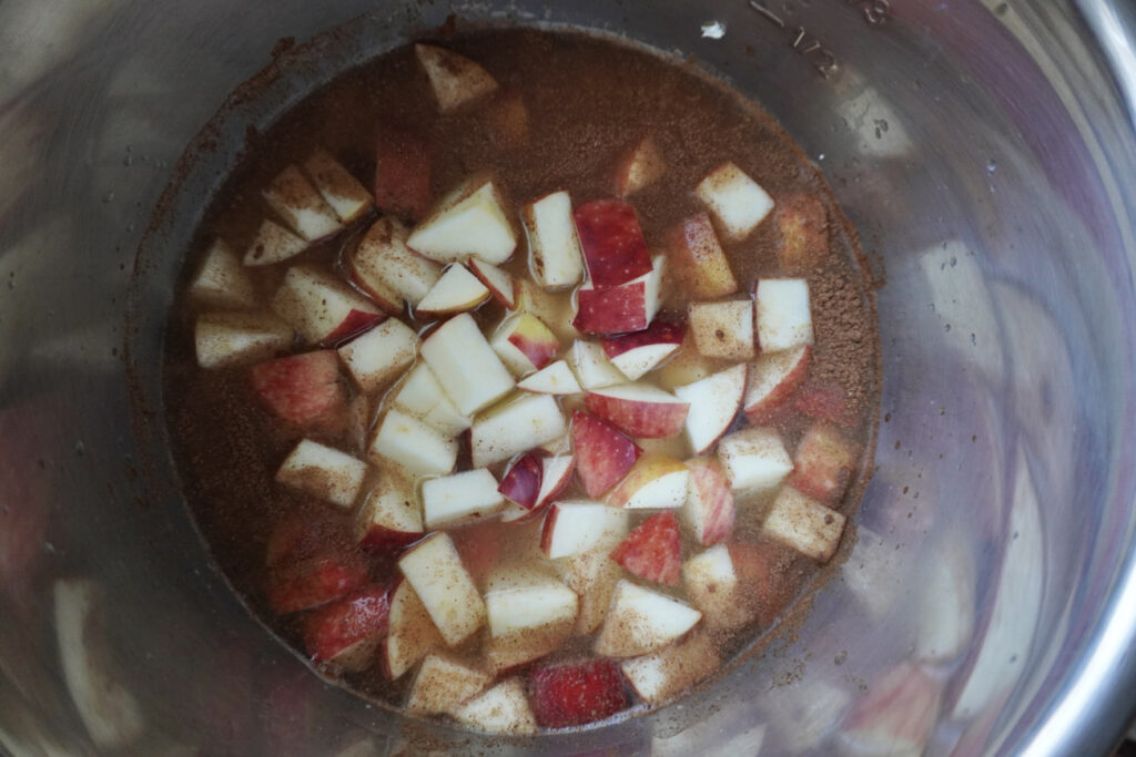 Chopped apples, pie spice, water, and oats in a metal pot