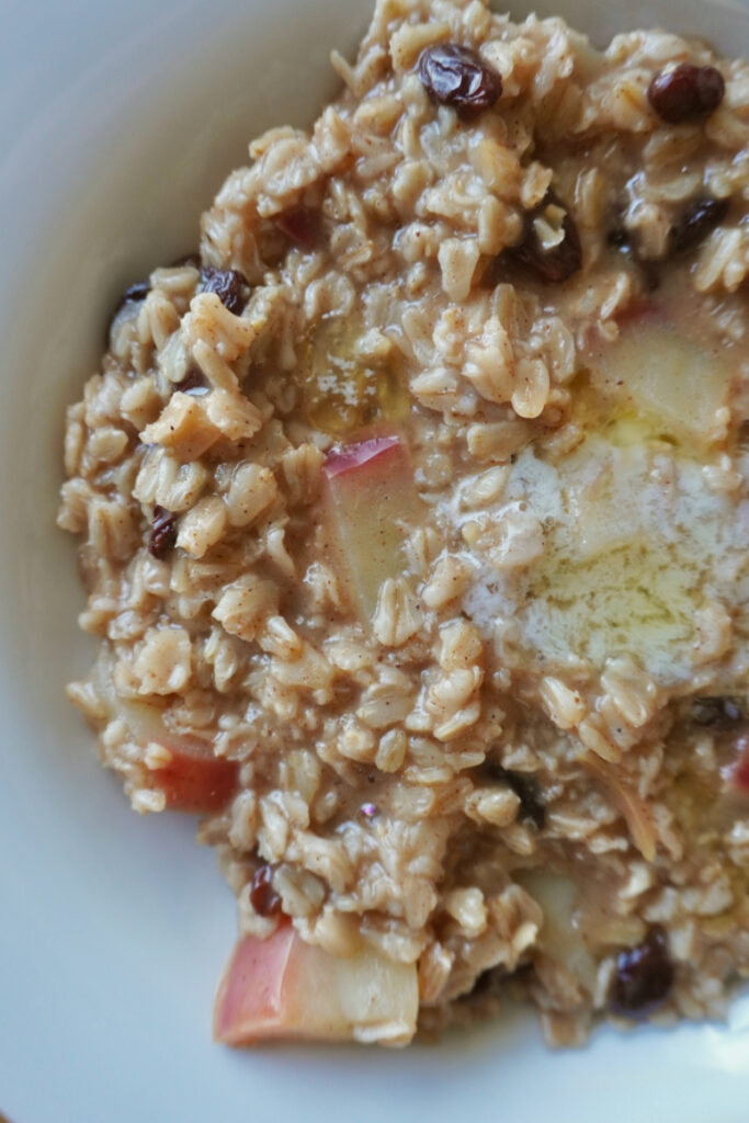 spiced apple oatmeal in a bowl with melted butter on top